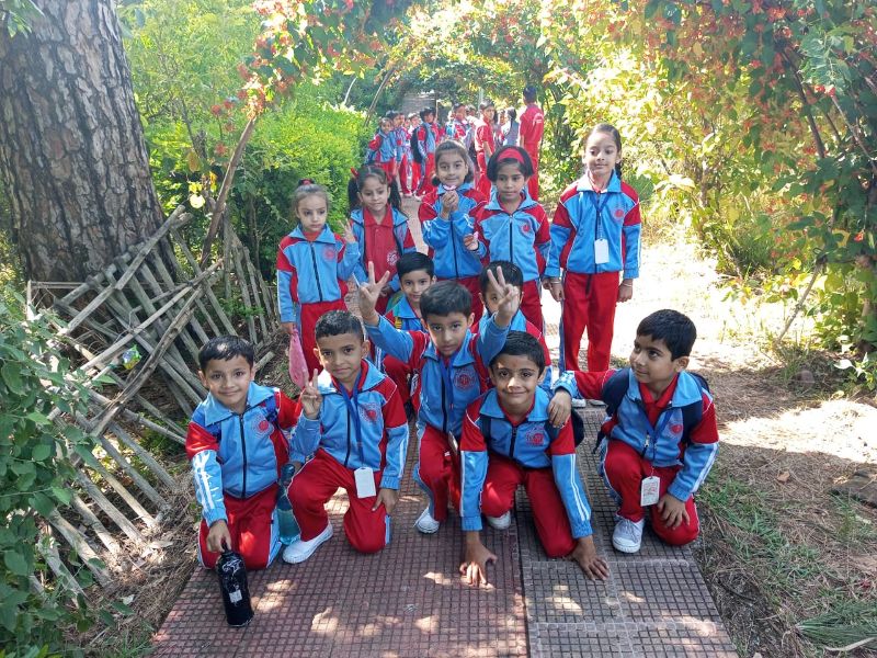 best school in palampur