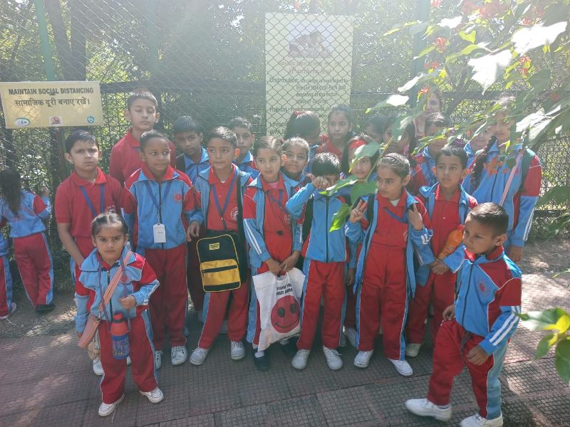 best school in palampur