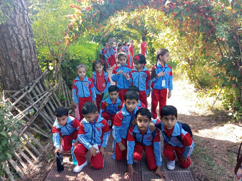 best school in palampur