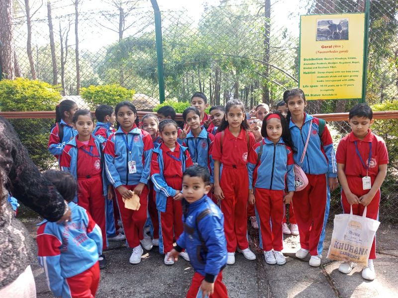 best school in palampur