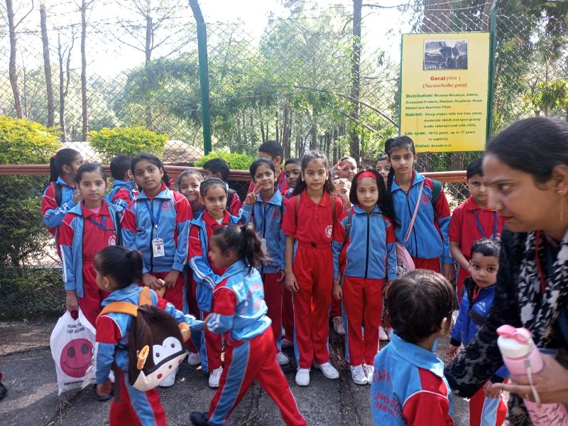 best school in palampur