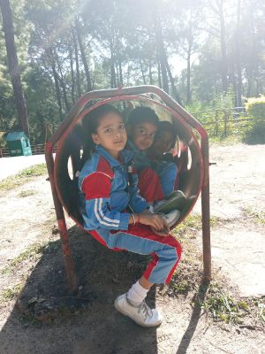 best school in palampur