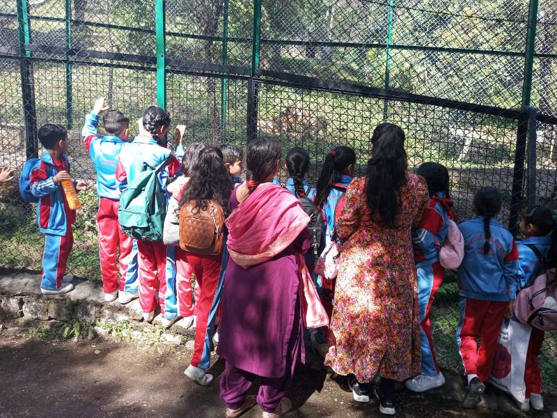 best school in palampur