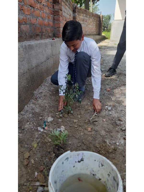 best school in palampur