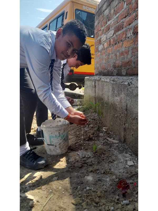 best school in palampur