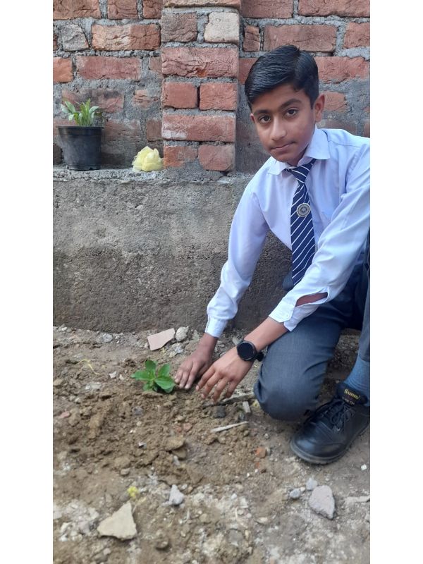 best school in palampur