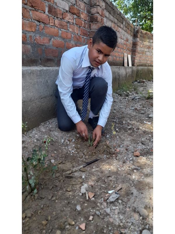 best school in palampur