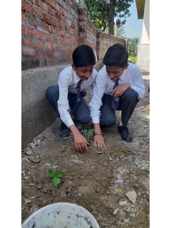 best school in palampur