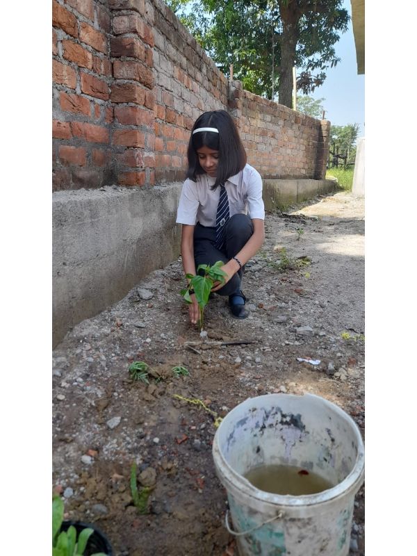 best school in palampur