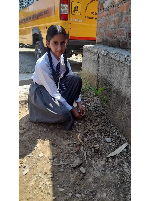 best school in palampur