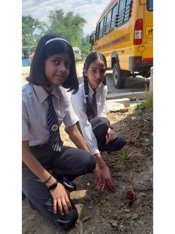 best school in palampur