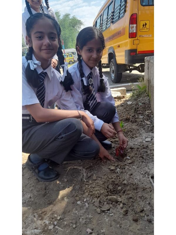 best school in palampur