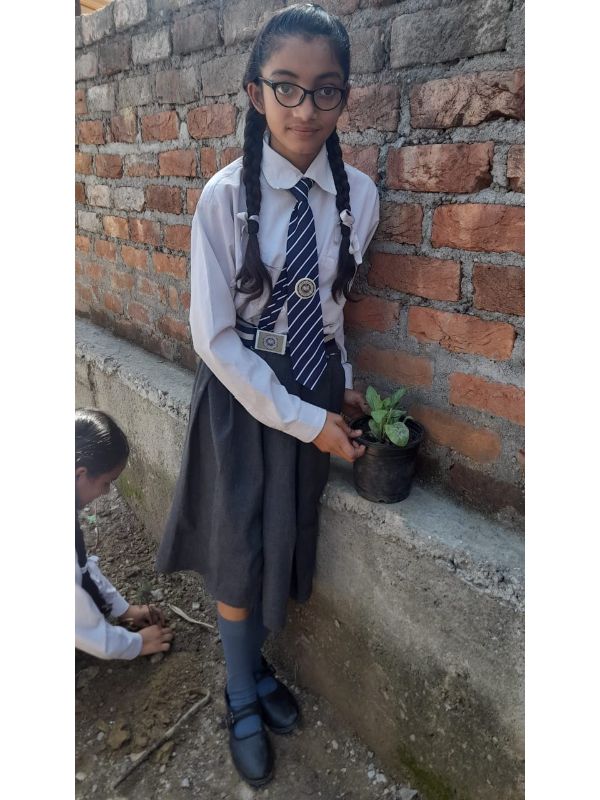 best school in palampur