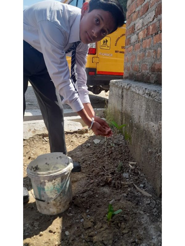 best school in palampur