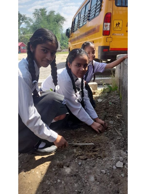 best school in palampur