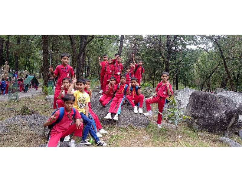 best school in palampur