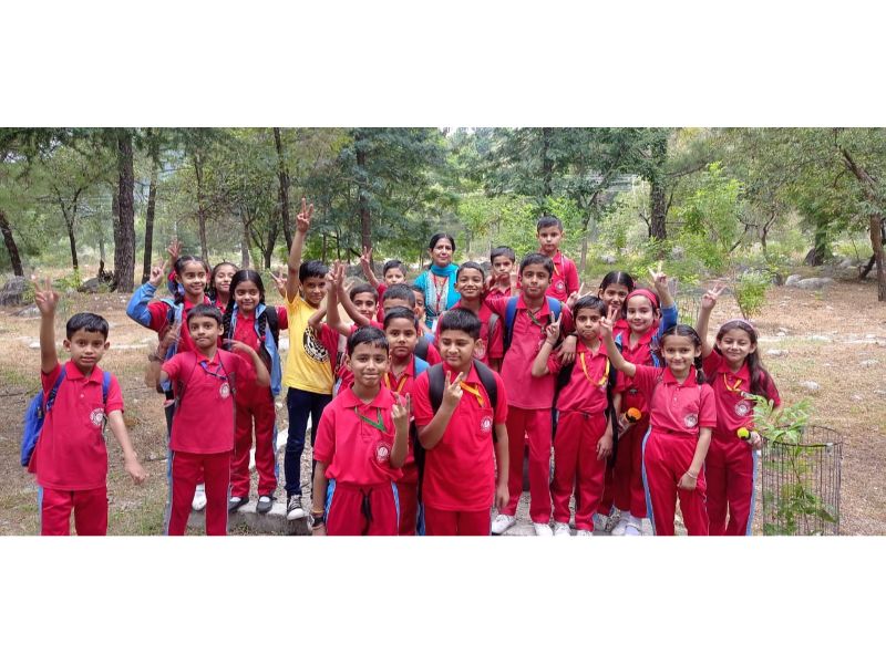 best school in palampur