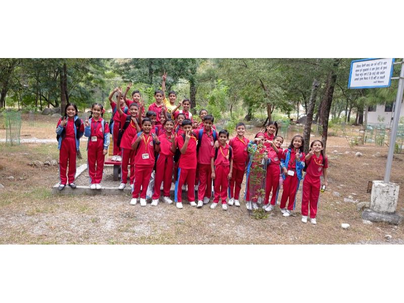 best school in palampur