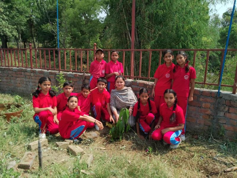 best school in palampur