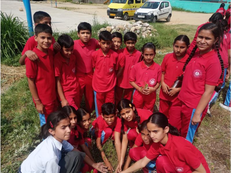 best school in palampur