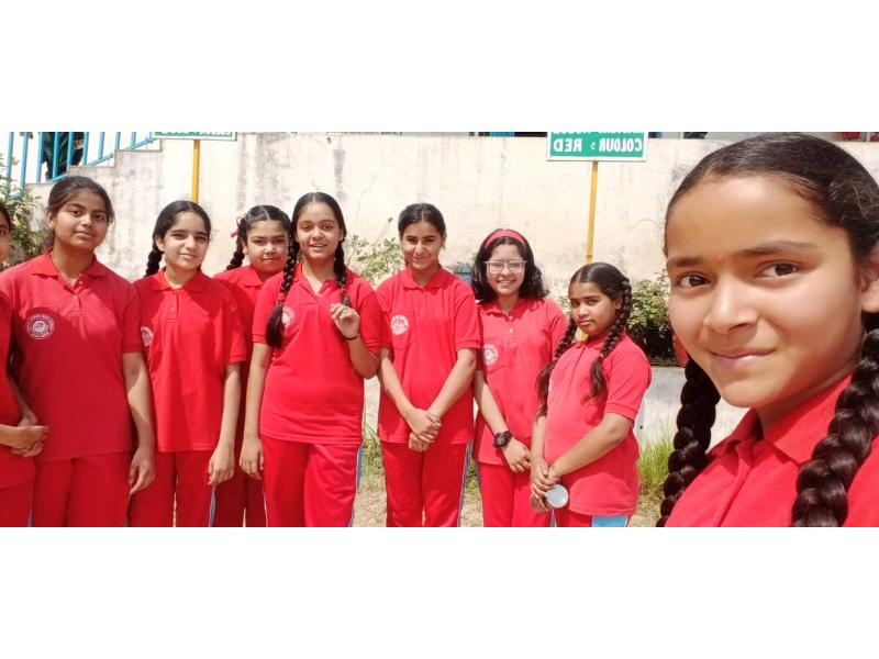 best school in palampur