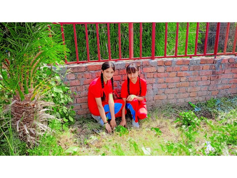 best school in palampur