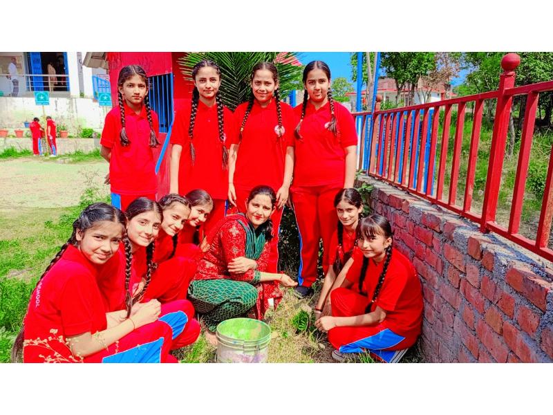 best school in palampur