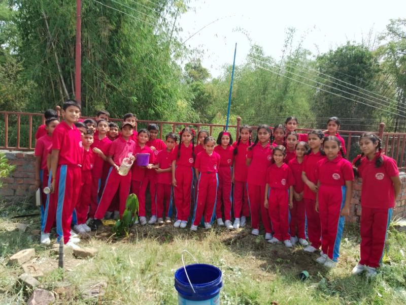 best school in palampur