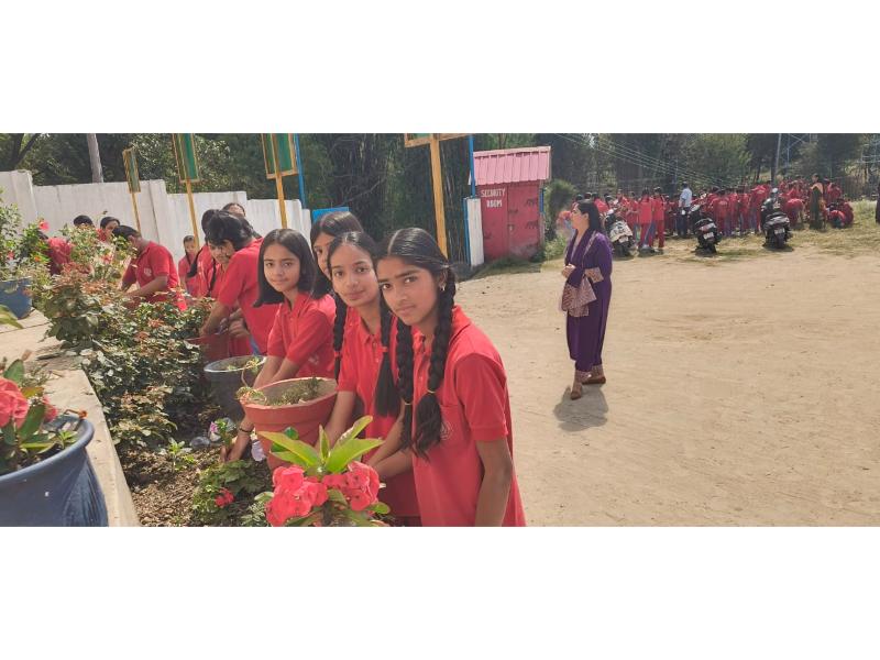 best school in palampur