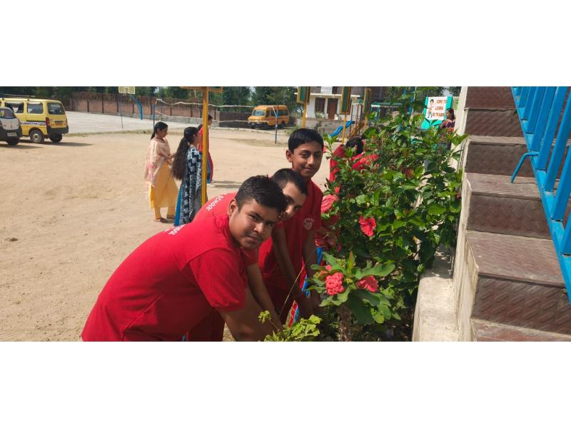 best school in palampur