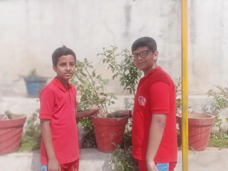 best school in palampur