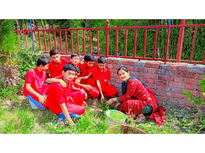 best school in palampur