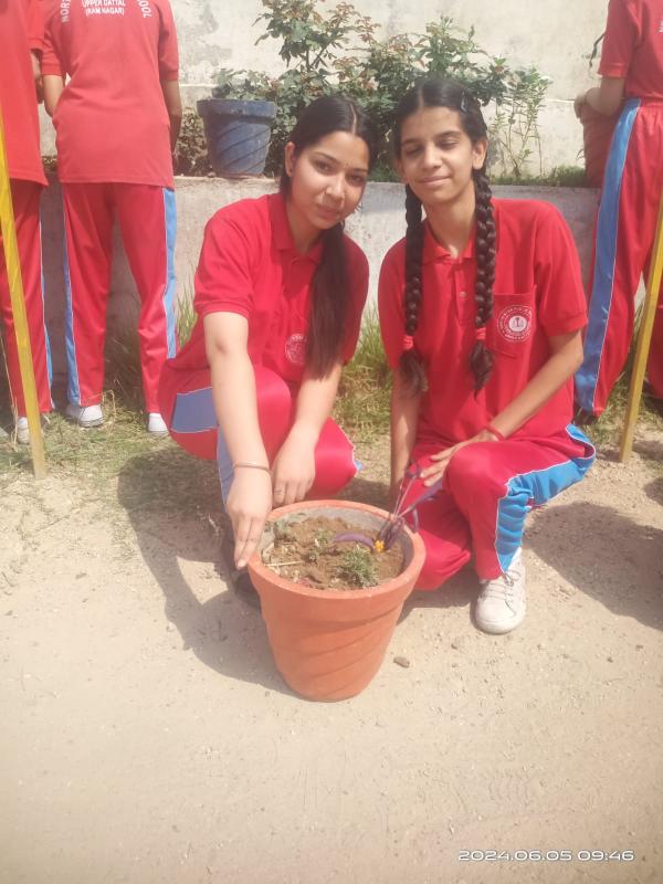 best school in palampur