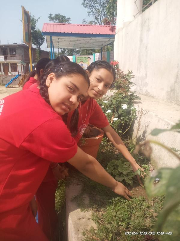 best school in palampur