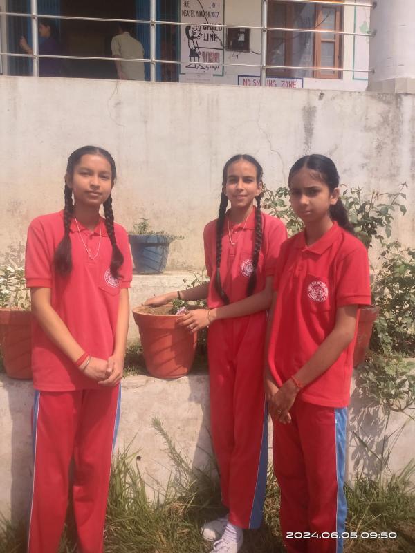 best school in palampur