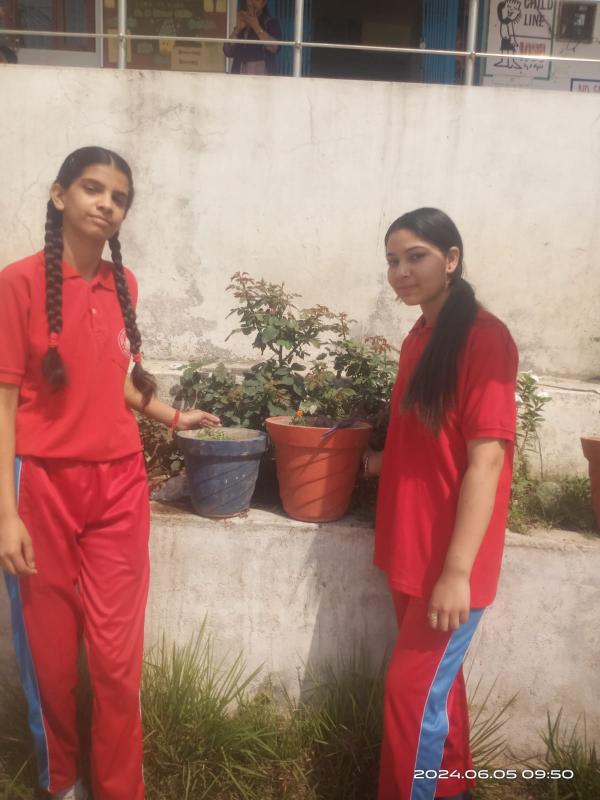 best school in palampur