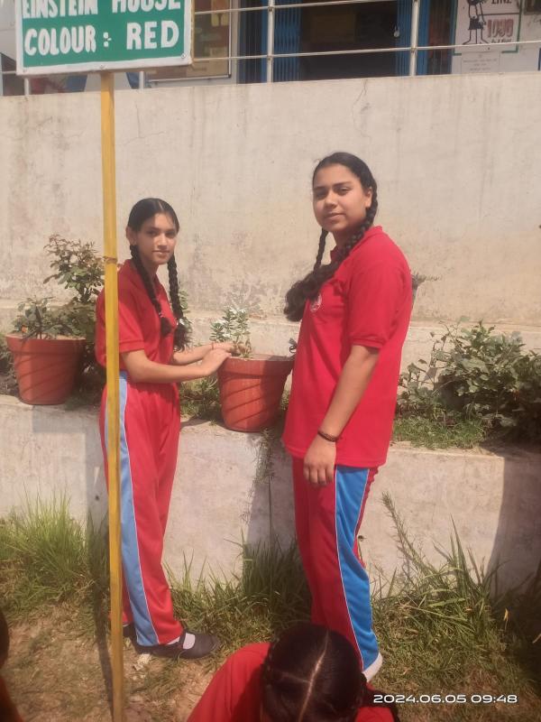 best school in palampur