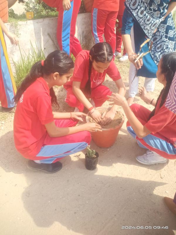 best school in palampur