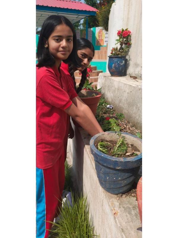 best school in palampur