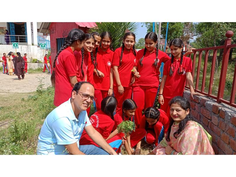 best school in palampur