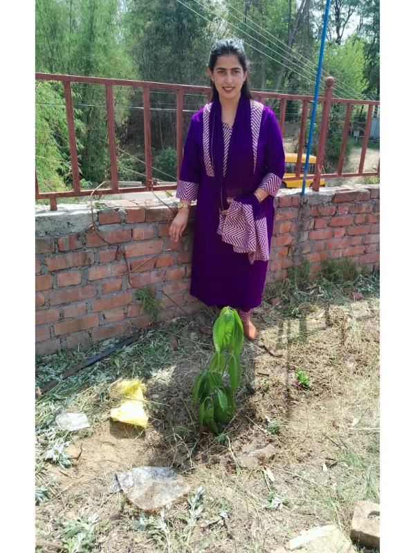 best school in palampur