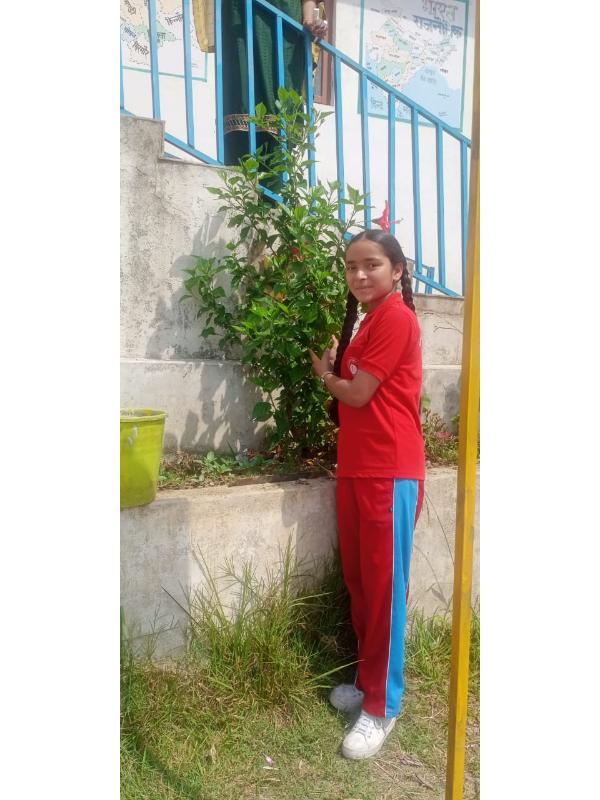 best school in palampur