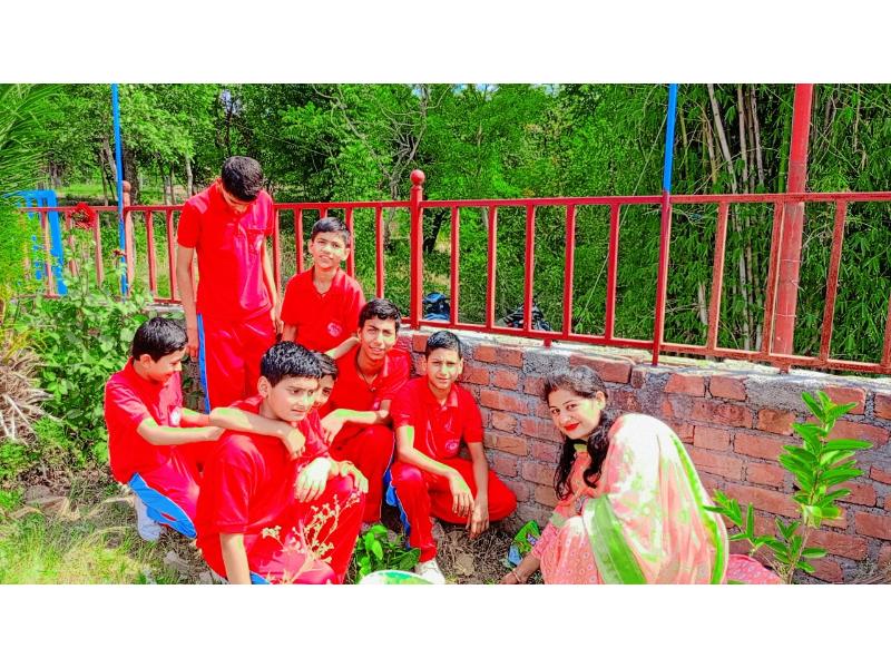 best school in palampur