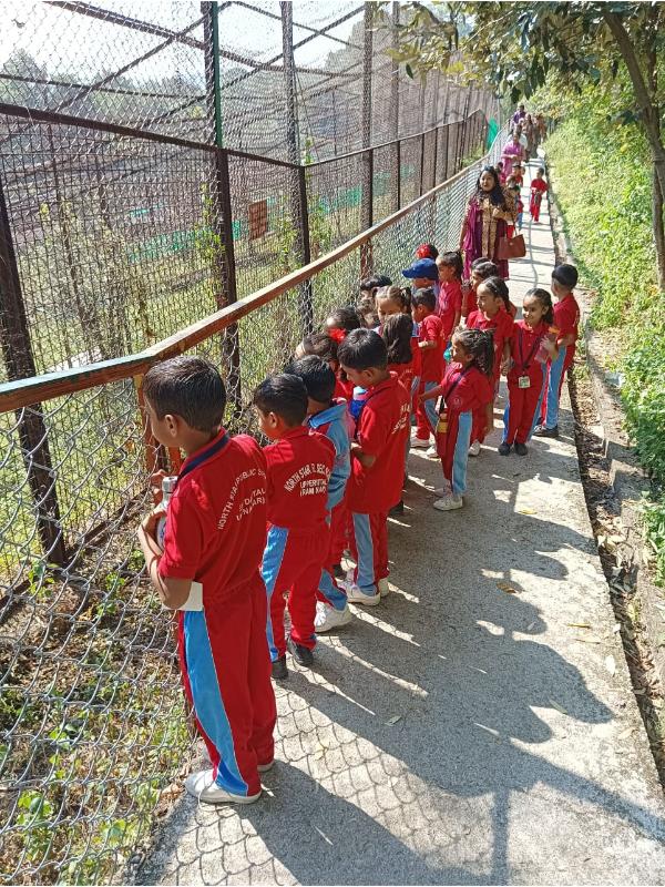 best school in palampur