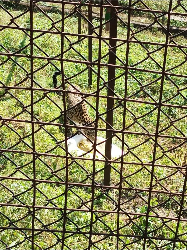 best school in palampur